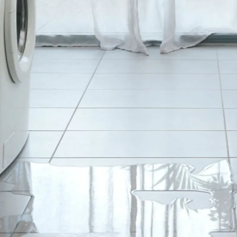 Appliance Leak Cleanup in Home Gardens, CA