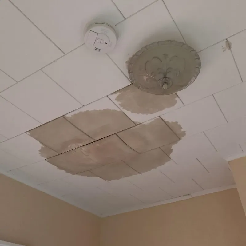 Ceiling Water Damage Repair in Home Gardens, CA