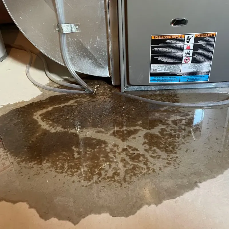 Pipe Burst and Leak Restoration in Home Gardens, CA