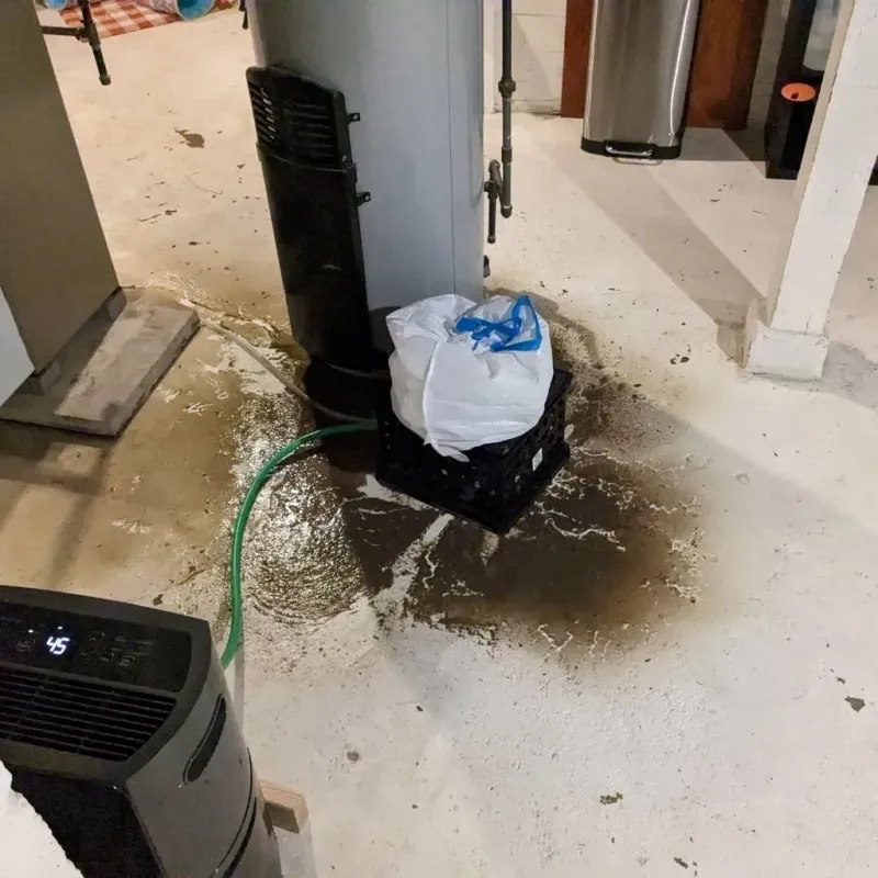 Sewage Backup Cleanup Service in Home Gardens, CA